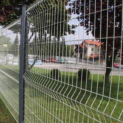 Powder Coated 3D Bending Fence Farm Protective Hot Dipped Galvanized