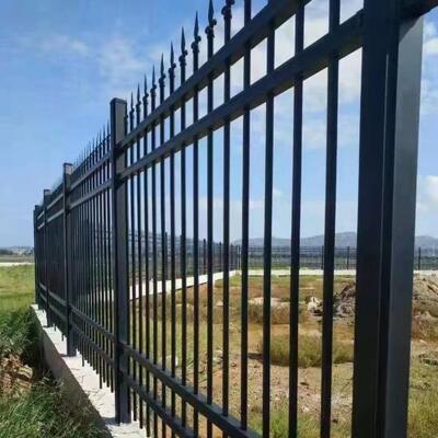 Galvanized Steel Wrought Iron Fence Panels Swimming Pool Garden Protection