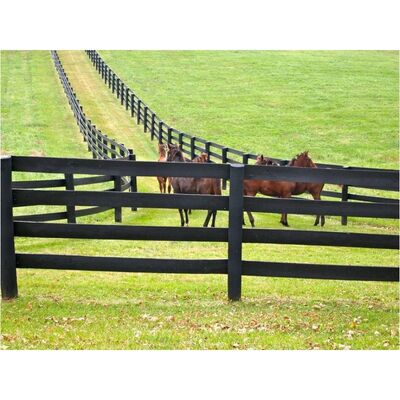 UV resistance Pvc Cross Pvc Ranch Rail Fence  4ft 5ft High