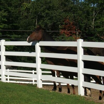 UV Resistance PVC Ranch Fence Black / White Color 1.2m 1.5m