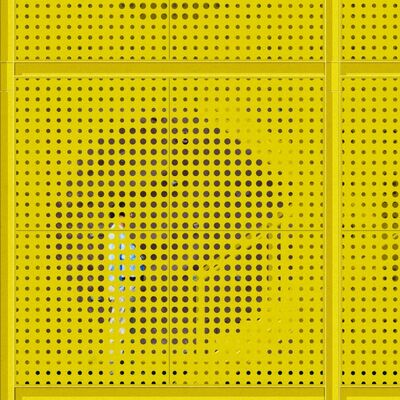 Privacy Garden Protection Warehouse Cage Fencing Low Carbon Steel